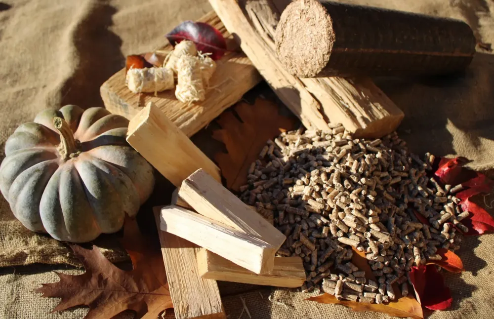 Gabillon Meynier - accueil (3)